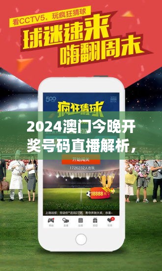 2024澳门今晚开奖号码直播解析，快速评估TKH742.66