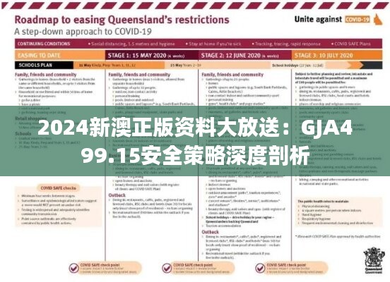 2024新澳正版资料大放送：GJA499.15安全策略深度剖析