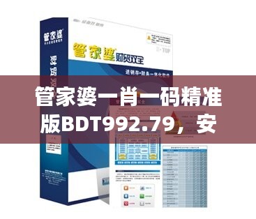 管家婆一肖一码精准版BDT992.79，安全保障策略方案解析