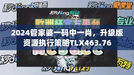 2024管家婆一码中一肖，升级版资源执行策略TLX463.76