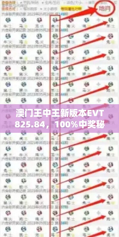 澳门王中王新版本EVT825.84，100%中奖秘籍详解