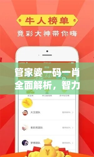 管家婆一码一肖全面解析，智力版状况评估_BUM460.12