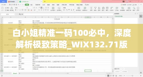 白小姐精准一码100必中，深度解析极致策略_WIX132.71版