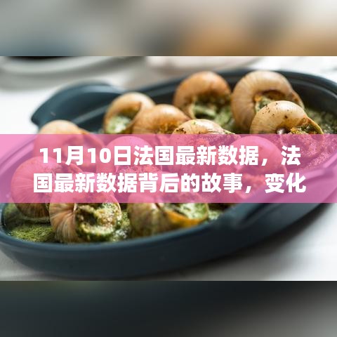 法国最新数据解析，变化的力量与学习的魅力背后的故事