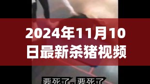 心急如焚 第40页