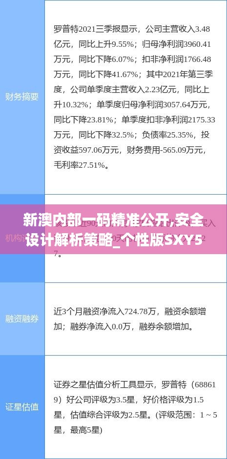新澳内部一码精准公开,安全设计解析策略_个性版SXY593.53