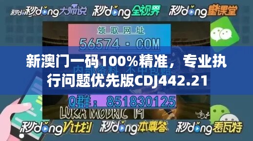 新澳门一码100%精准，专业执行问题优先版CDJ442.21