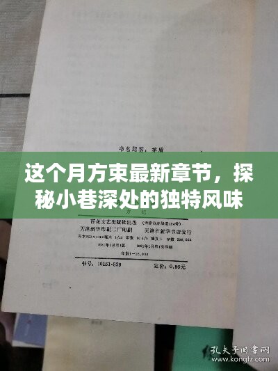 目不转睛 第37页
