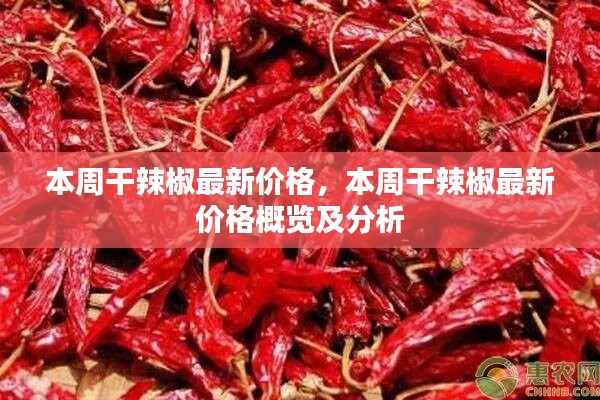 风驰电掣 第37页