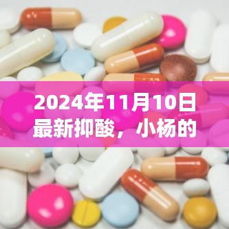 小杨的抑酸奇遇，友情、家庭与温馨的日常生活（2024年11月10日最新）