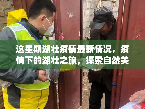 湖壮疫情最新动态，探索自然美景，寻找内心平静的力量之旅
