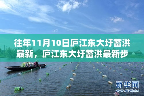 庐江东大圩蓄洪最新动态及参与蓄洪任务全攻略解析