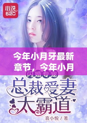 今年小月牙最新章节全面解析与介绍
