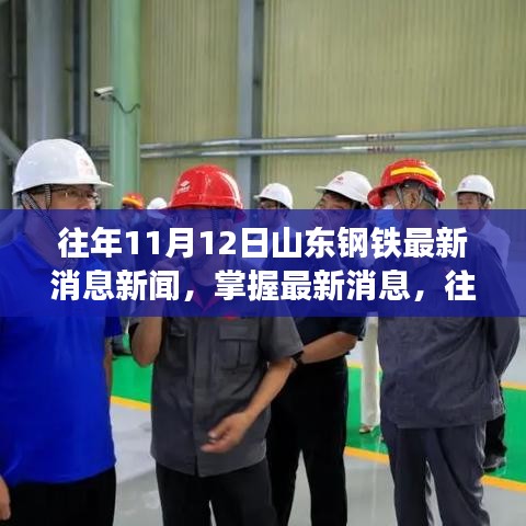 往年11月12日山东钢铁资讯大解析，最新消息新闻全攻略，初学者与进阶用户必备指南