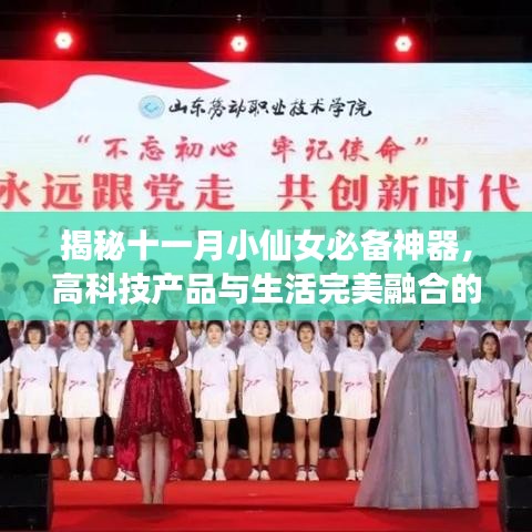 揭秘十一月小仙女必备神器，高科技产品与生活完美融合的新时代必备品