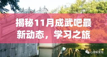 揭秘11月成武吧最新动态，学习之旅中的变化与成就感的源泉今日揭晓