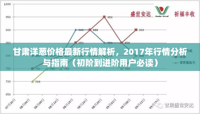 甘肃洋葱价格最新行情解析，2017年行情分析与指南（初阶到进阶用户必读）