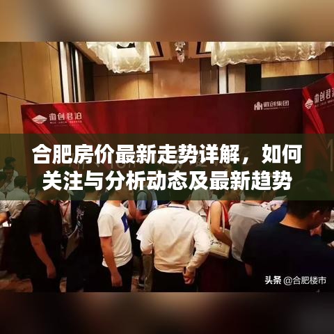 合肥房价最新走势详解，如何关注与分析动态及最新趋势