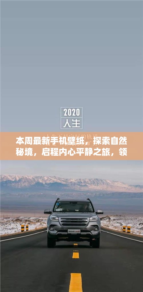 fenghuangyufei 第26页