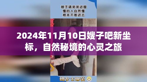 2024年11月10日嫂子吧新坐标，自然秘境的心灵之旅