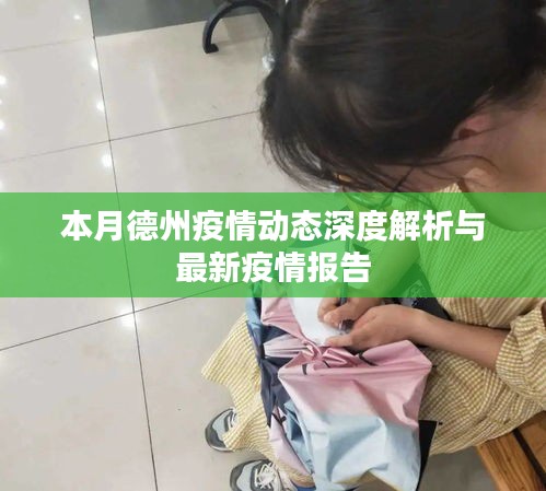 本月德州疫情动态深度解析与最新疫情报告