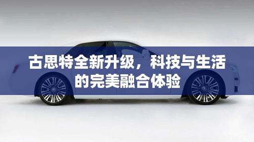 关于我们 第712页