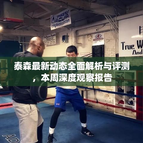 泰森最新动态全面解析与评测，本周深度观察报告