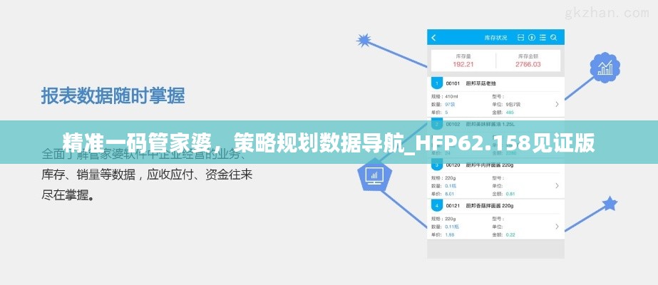精准一码管家婆，策略规划数据导航_HFP62.158见证版