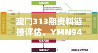 澳门313期资料链接评估，YMN94.310紧凑版执行机制