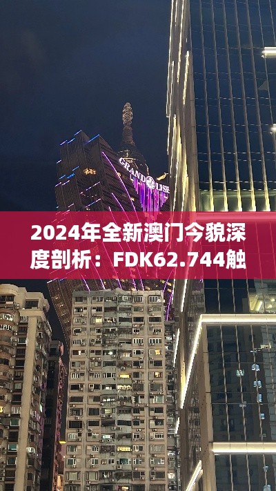 2024年全新澳门今貌深度剖析：FDK62.744触感体验版解读