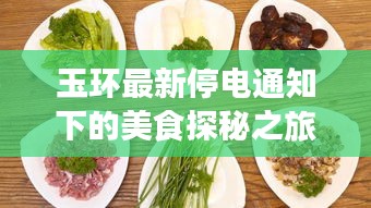 玉环最新停电通知下的美食探秘之旅，独特小巷美食探秘之旅