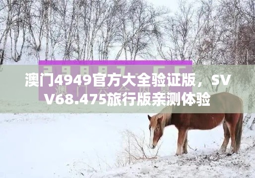 biannucejian 第23页