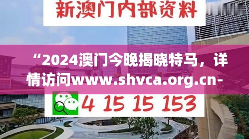“2024澳门今晚揭晓特马，详情访问www.shvca.org.cn-见证版MLC94.213精细方案决策”