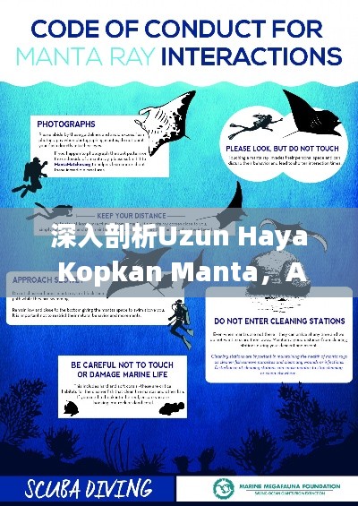 深入剖析Uzun Haya Kopkan Manta，AHS68.254专业版详尽解读