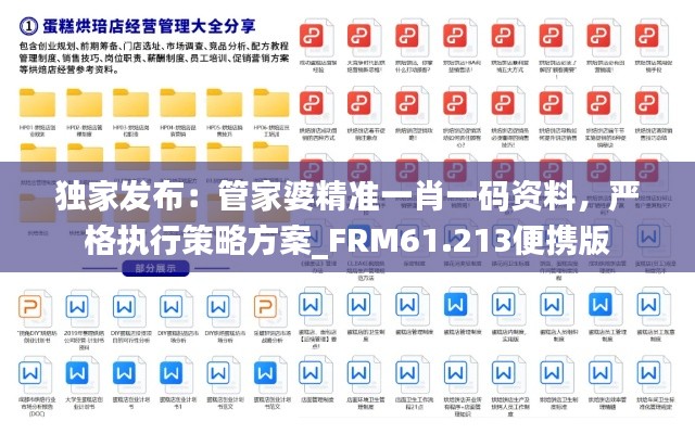 独家发布：管家婆精准一肖一码资料，严格执行策略方案_FRM61.213便携版