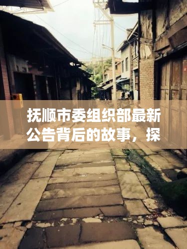抚顺市委组织部最新公告背后的故事，探寻小巷中的独特风味