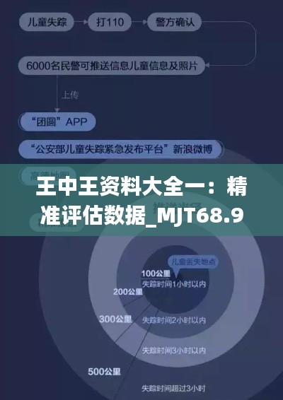 王中王资料大全一：精准评估数据_MJT68.928寻宝版