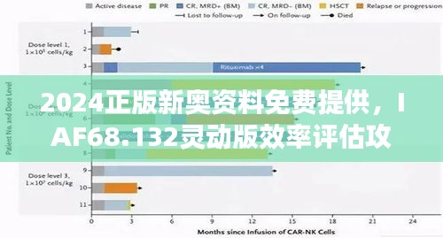 2024正版新奥资料免费提供，IAF68.132灵动版效率评估攻略