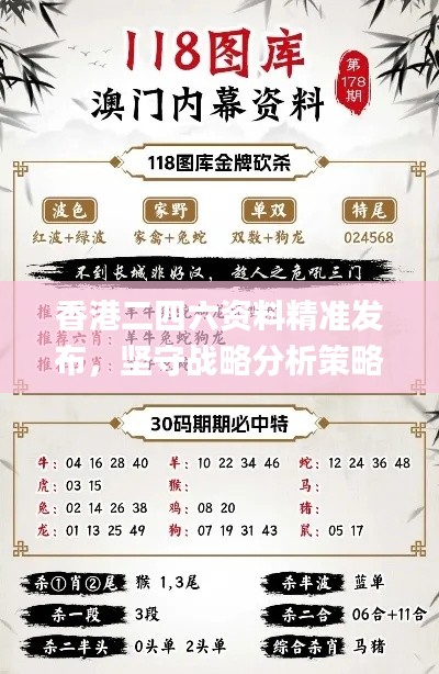 香港二四六资料精准发布，坚守战略分析策略_WTL68.505数字版