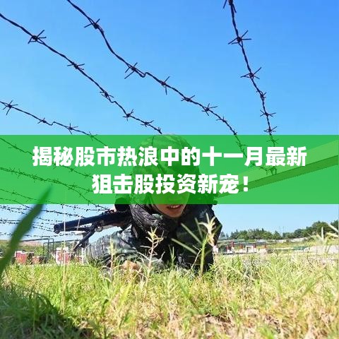 fengniaobuzhi 第23页