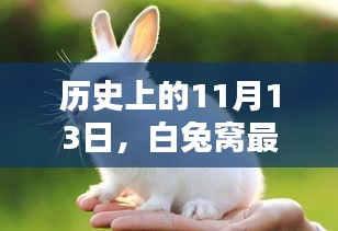 历史上的11月13日，白兔窝最新高科技产品引领未来生活