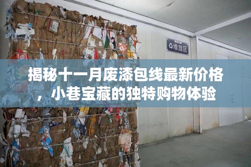 揭秘十一月废漆包线最新价格，小巷宝藏的独特购物体验
