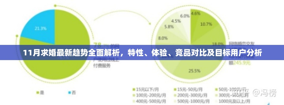 11月求婚最新趋势全面解析，特性、体验、竞品对比及目标用户分析