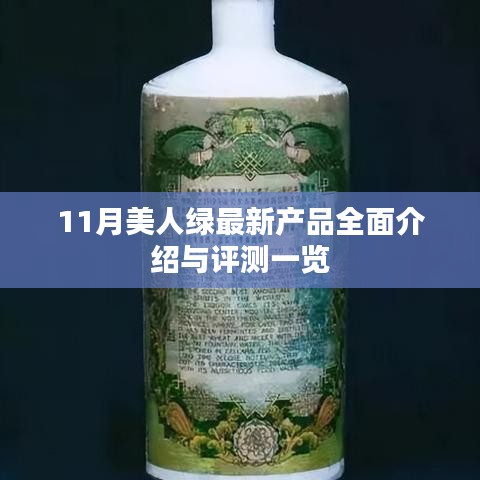 bizourufei 第24页