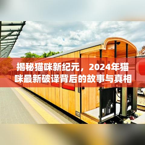 揭秘猫咪新纪元，2024年猫咪最新破译背后的故事与真相探索
