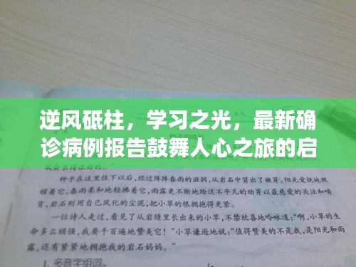 逆风砥柱，学习之光，最新确诊病例报告鼓舞人心之旅的启示