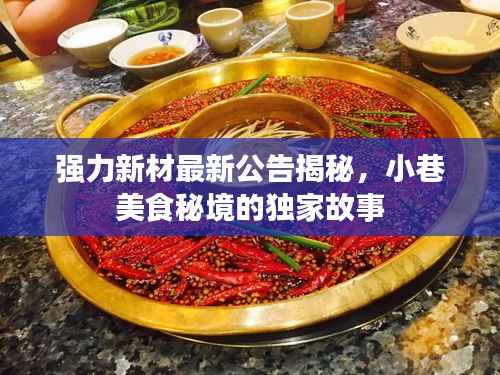 强力新材最新公告揭秘，小巷美食秘境的独家故事