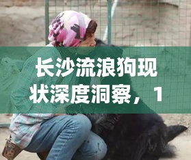 yaowuyinxin 第24页