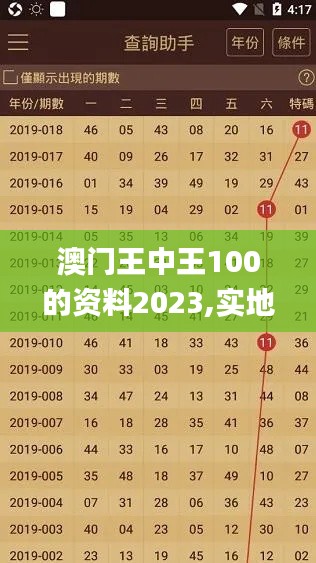 澳门王中王100的资料2023,实地数据评估分析_YYL76.677多功能版