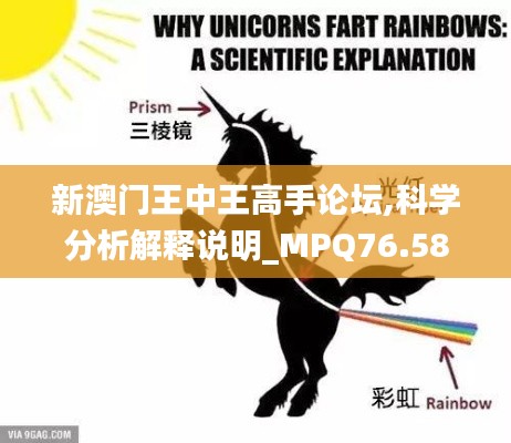 新澳门王中王高手论坛,科学分析解释说明_MPQ76.587资源版